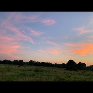 Meet your Posher, Travis